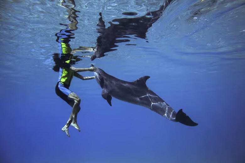 Splashers Island best waterpark in Dubai for families